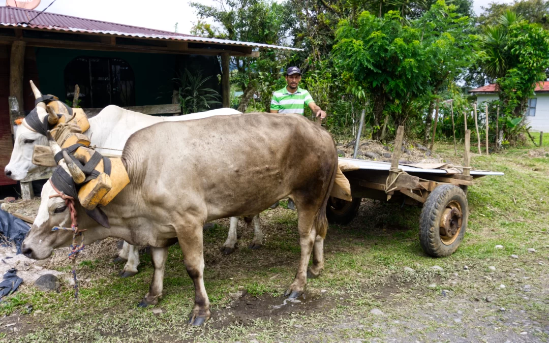 Discover Gavilán de Upala: A Hidden Gem in Rural Costa Rica